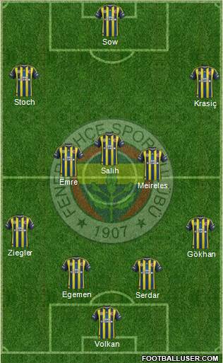 Fenerbahçe SK Formation 2013