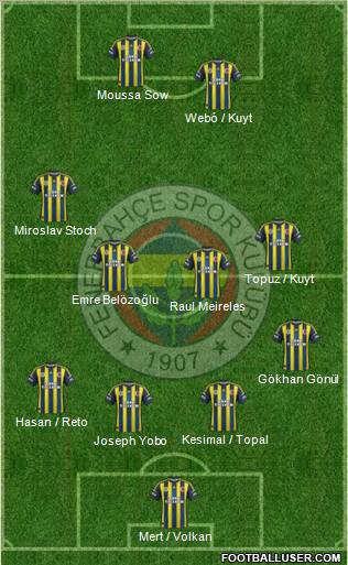 Fenerbahçe SK Formation 2013