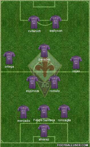 Fiorentina Formation 2013