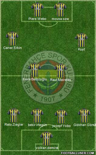 Fenerbahçe SK Formation 2013