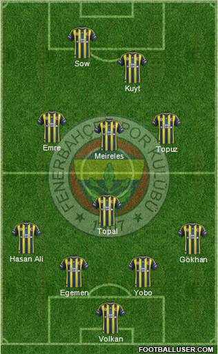 Fenerbahçe SK Formation 2013