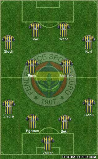 Fenerbahçe SK Formation 2013