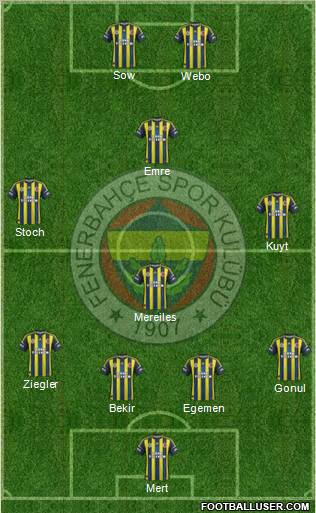 Fenerbahçe SK Formation 2013
