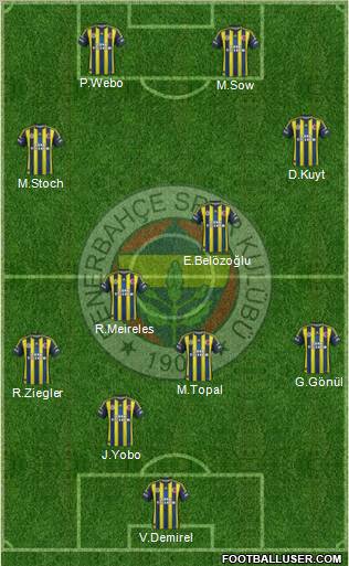 Fenerbahçe SK Formation 2013