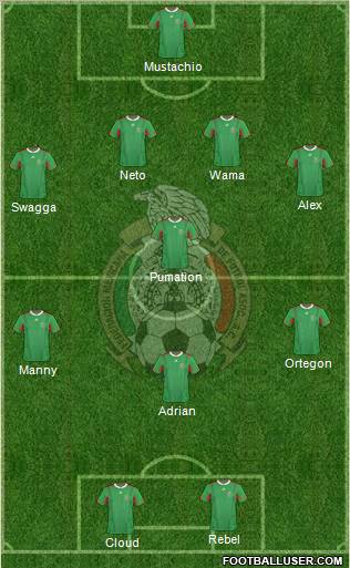 Mexico Formation 2013