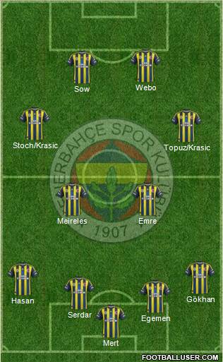 Fenerbahçe SK Formation 2013