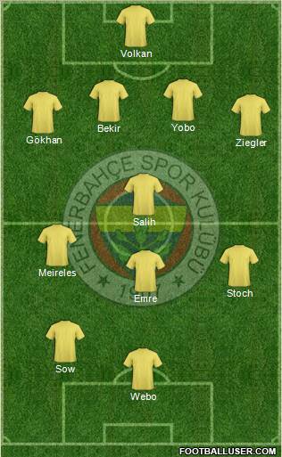 Fenerbahçe SK Formation 2013