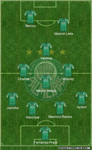 SE Palmeiras Formation 2013