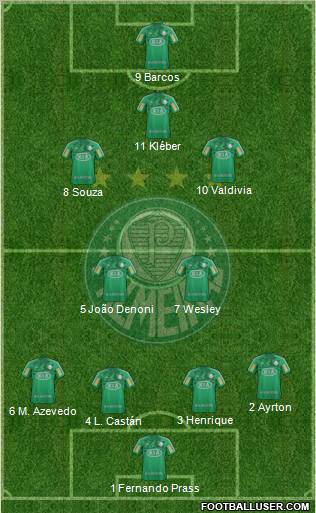 SE Palmeiras Formation 2013
