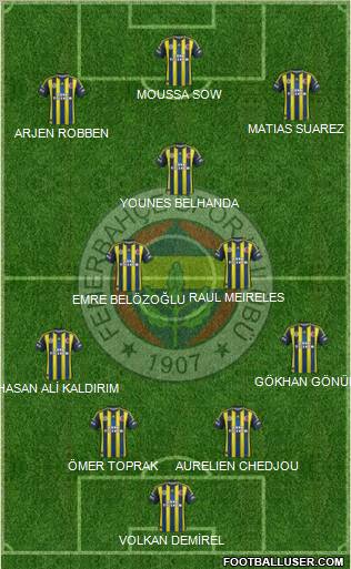 Fenerbahçe SK Formation 2013