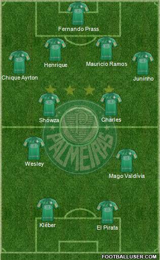 SE Palmeiras Formation 2013