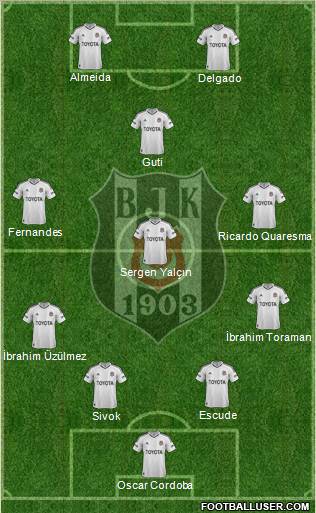 Besiktas JK Formation 2013