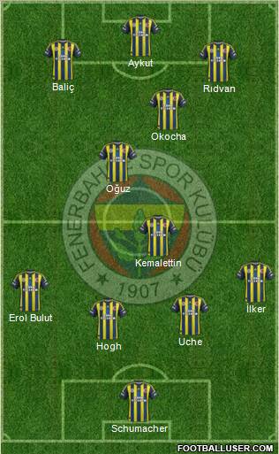 Fenerbahçe SK Formation 2013