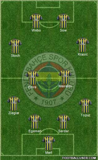 Fenerbahçe SK Formation 2013