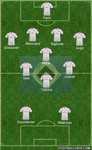 Hamburger SV Formation 2013
