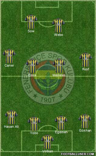 Fenerbahçe SK Formation 2013