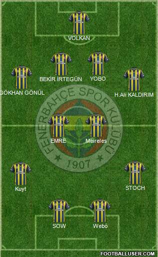 Fenerbahçe SK Formation 2013