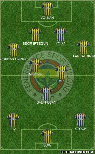 Fenerbahçe SK Formation 2013