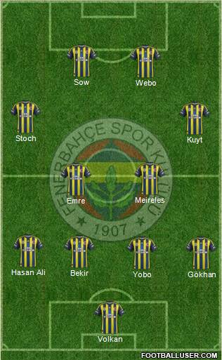 Fenerbahçe SK Formation 2013