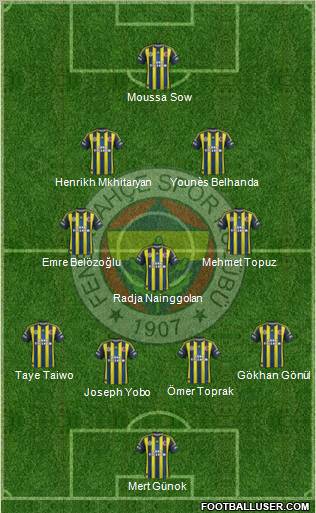 Fenerbahçe SK Formation 2013