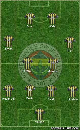 Fenerbahçe SK Formation 2013