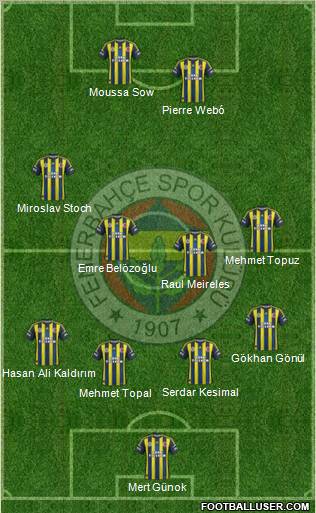 Fenerbahçe SK Formation 2013