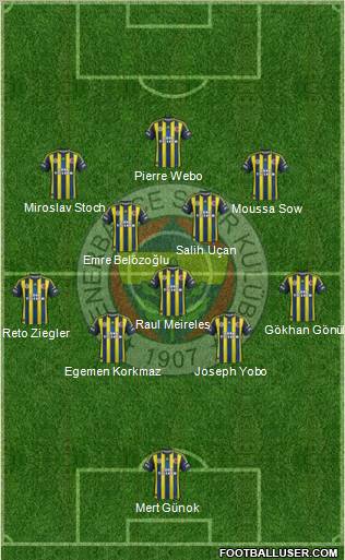 Fenerbahçe SK Formation 2013