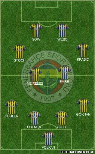 Fenerbahçe SK Formation 2013