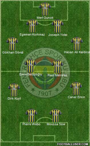 Fenerbahçe SK Formation 2013