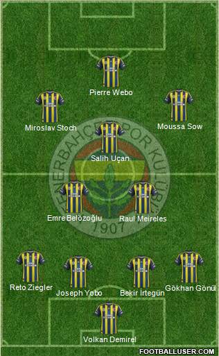 Fenerbahçe SK Formation 2013