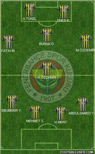 Fenerbahçe SK Formation 2013
