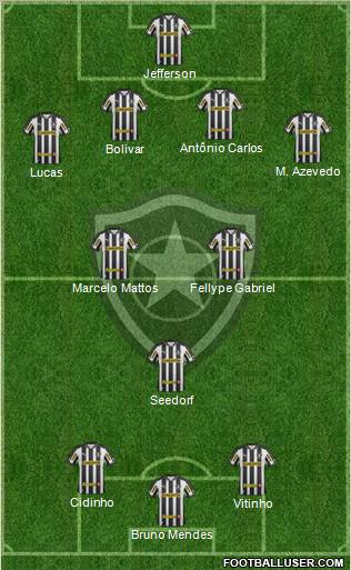 Botafogo FR Formation 2013