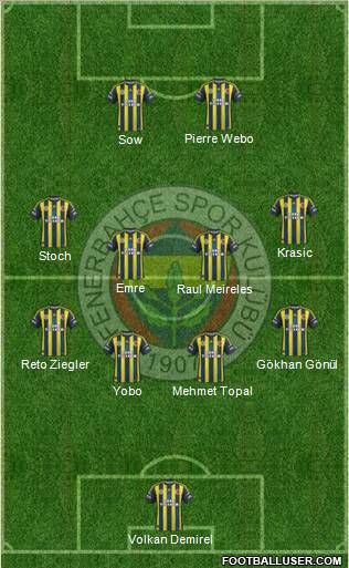 Fenerbahçe SK Formation 2013