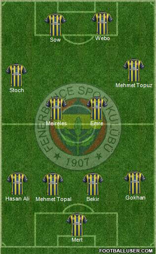 Fenerbahçe SK Formation 2013