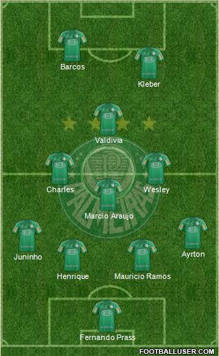 SE Palmeiras Formation 2013