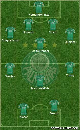 SE Palmeiras Formation 2013