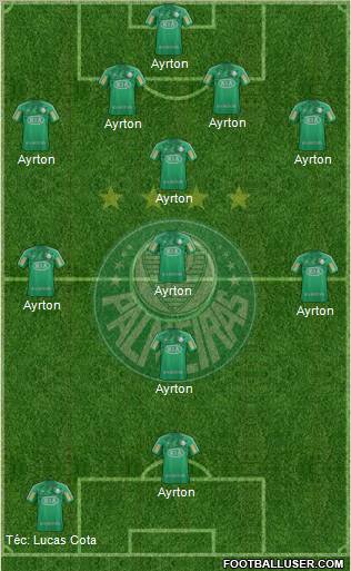 SE Palmeiras Formation 2013