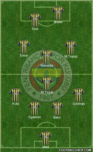 Fenerbahçe SK Formation 2013