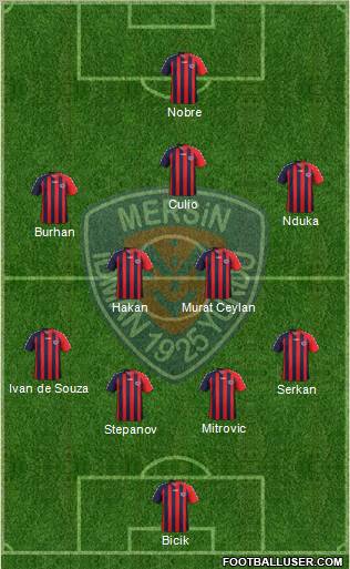 Mersin Idman Yurdu Formation 2013