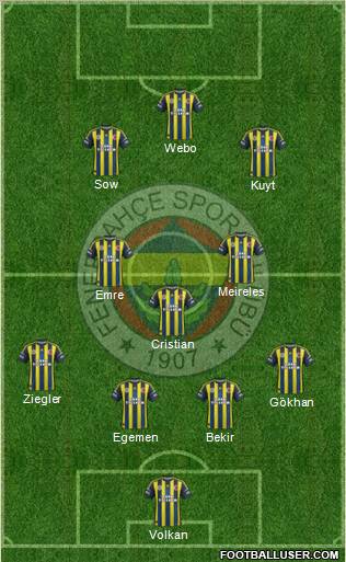 Fenerbahçe SK Formation 2013