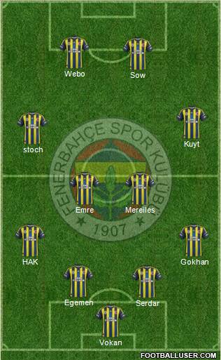 Fenerbahçe SK Formation 2013