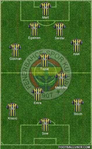 Fenerbahçe SK Formation 2013