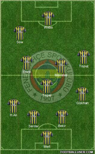 Fenerbahçe SK Formation 2013