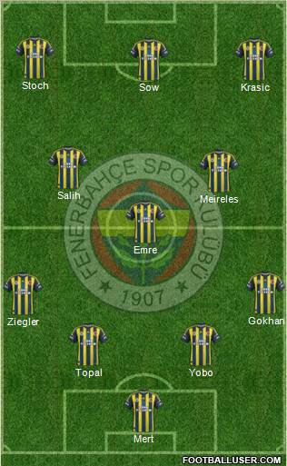 Fenerbahçe SK Formation 2013