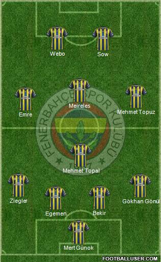 Fenerbahçe SK Formation 2013