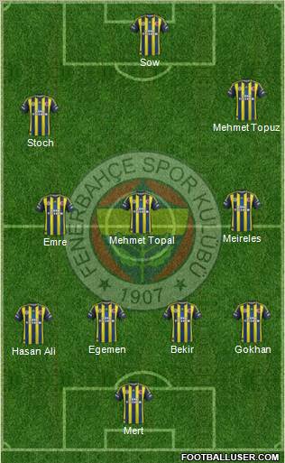 Fenerbahçe SK Formation 2013