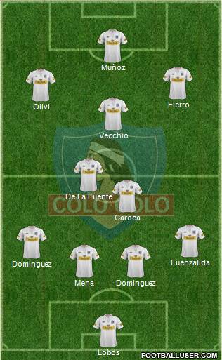 CSD Colo Colo Formation 2013