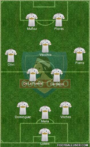 CSD Colo Colo Formation 2013