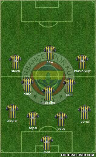 Fenerbahçe SK Formation 2013
