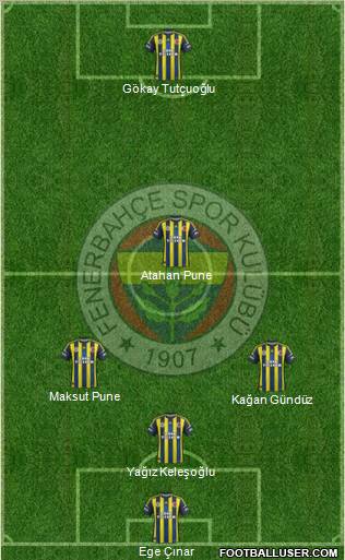 Fenerbahçe SK Formation 2013
